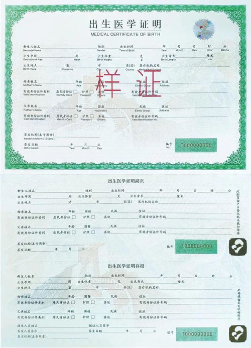 便民之始 出生医学证明办理流程及后续出行证件指南
